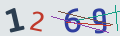 verifycode